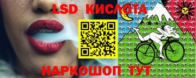 мет Камышлов