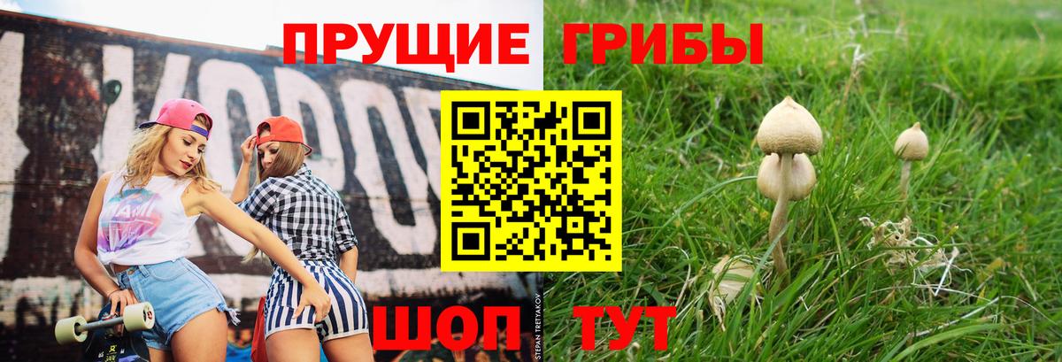 Псилоцибиновые грибы мухоморы Кубинка